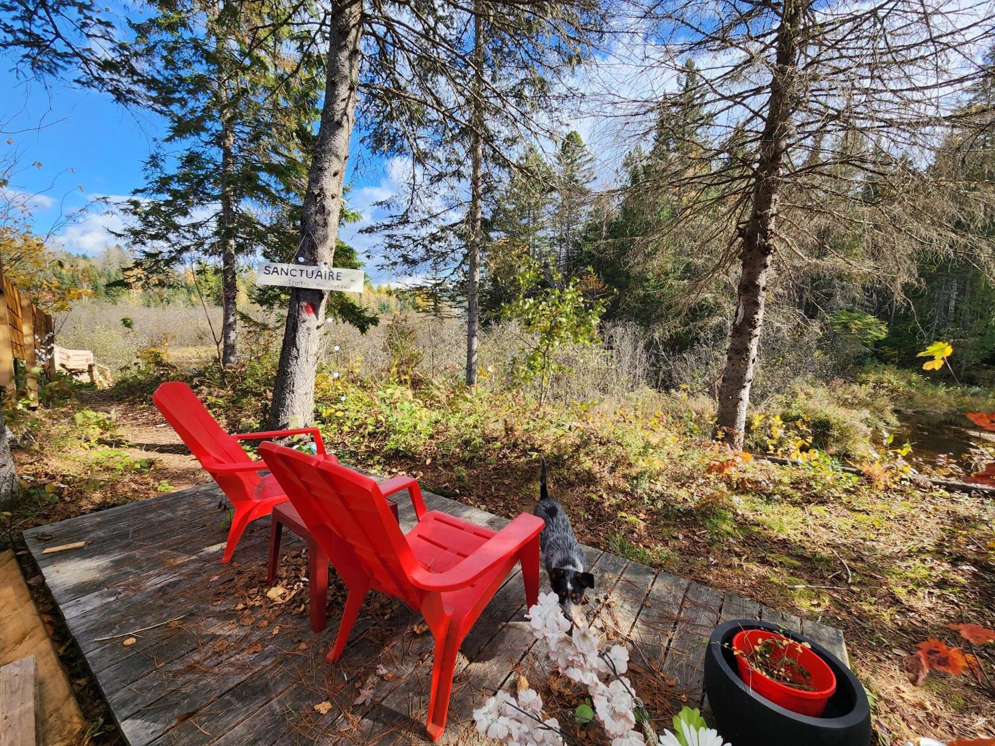 Chalets Nabu La Sacacomie - Riviere - Billard Saint-Alexis-des-Monts Exteriér fotografie